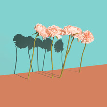 Fake Flowers Surreal Scene On A Two Tone Pastel Background. Artificial Universe Love Minimal Concept.