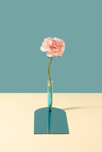 Test Tube With Blue Liquid And Fake Peonia Flower Against The Pastel Two Tone Background. Immersive Reality Minimal Concept.