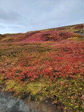 Autumn Landscape With Red And Yellow Mountains Iceland Nature Natural Outdoor