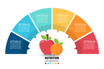 Wall Mural - Fruit semi circle infographic on white background. Nutrition and healthy eating concept. Vector illustration in flat design.