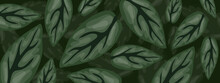 Green Leaves  Foliage Vector Background Design