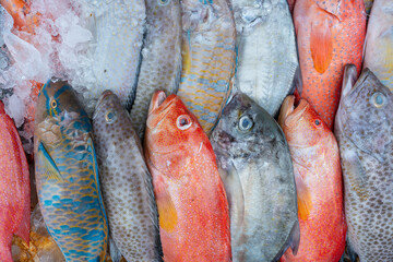 Wall Mural - Fresh sea fish for sell at the street food market in Borneo, Malaysia, close up seafood