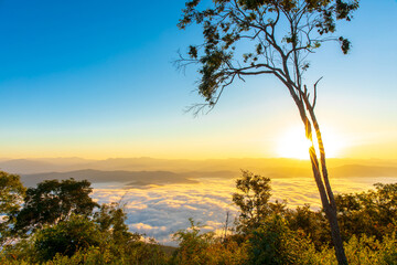 Wall Mural - sunrise behind tree with sea of fog and clouds with mountain hill at sri nan national park doi samer