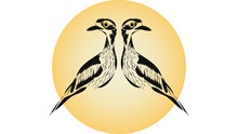 Twin Curlew Illustration. Australian Native Bird.