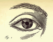 Vector Human Eye Illustration In Vintage Etching Halftone Style.