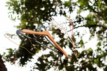 Low Angle Clothes Hanger Hanging On A Clothesline With A Dramatic Blur Background