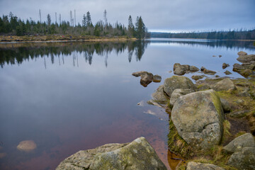 Wall Mural - a quiet lake with rocks and trees in the evening light