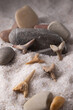 © Богдан Тарасов - fossilized teeth of a prehistoric shark