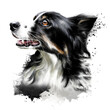 Border Collie, Scottish Sheepdog dog digital art illustration isolated on white background. United Kingdom origin herding dog