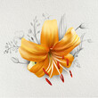 Elegant lily, yellow-orange lily flowers on an isolated white background, watercolor flower, stock illustration