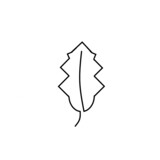 Fototapeta  - Hoja de árbol dibujada con un solo trazo