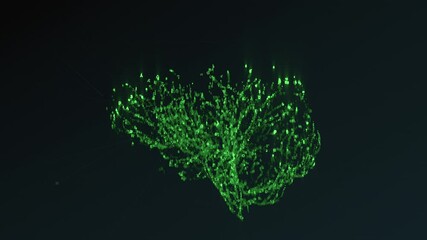 The human brain grows out of glowing numbers in a matrix style. Digital Brain Artificial intelligence concept