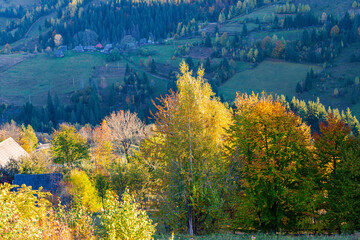 Canvas Print - Autumn landscape in the mountains