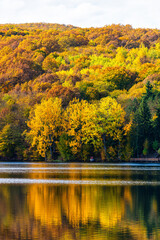 Wall Mural - Fall season in the mountains