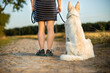 woman and white swiss shepherd dog, standing woman and sitting dog on a path