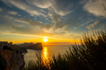 Canvas Print - Landscape at the sea in Mallorca, Spain