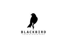 Black Bird Logo Design, Sillhouette Bird Logo