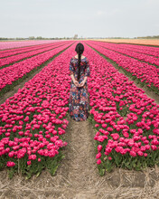 Rear View Of Woman In Floral Dress Standing In Dutch Field Of Tulips In Spring