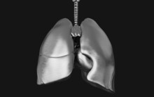 3d Illustration The Human’s Lung Silver Iron And Respiratory System. NCoV In The Worlds Illustration Concept.