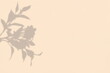 © gv image - leaves flower gray shadow overlay texture background mock up with copy space