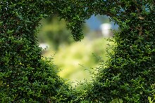 Love Heart On Leaves