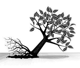 engraved vintage drawing of uprooted and fallen tree with foliage