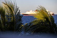 Cruise Ship Sailing On The Caribbean Sea Out Of Focus And Framed By Two Palm Trees On The Shore Of Cozumel, Mexico