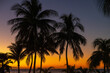 © Mat Hayward - sunset on the beach with a silhouette of palm trees during a vacation to tropical island Cozumel, Mexico in Quintana Roo