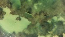 Aerial View By Drone Of Coral Reef Seen Through Clear, Green Ocean Water In The Caribbean Sea
