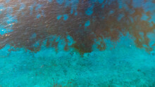 Aerial View Of Clear Ocean Water In The Caribbean Sea. Vibrant Turquoise Blue With Visible Coral Reef Below The Surface.