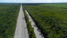 Highway Road Drive Through Dense Jungle Foliage On The South Side Of Tropical Caribbean Island Cozumel, Mexico In Quintana Roo. The Jungle Is Thick With Palm Trees.