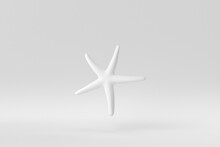 Caribbean Starfish On A White Background. Minimal Concept. Monochrome. 3D Render.