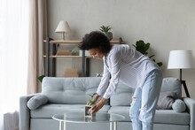Smiling Beautiful Young African American Housewife Putting Green Plant In Vase, Cleaning Apartment, Arranging Stuff In Cozy Modern Living Room, Feeling Satisfied With Making Comfort Tidy House.