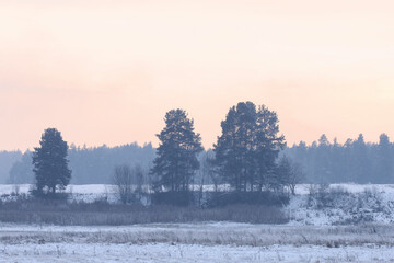 Canvas Print - Misty landscape in the morning.