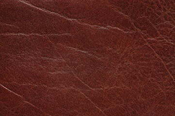 Poster - Dark brown rough leather texture