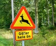 Verkehrszeichen Schweden / Traffic Sign Sweden