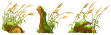 Stump In Moss With Reeds. Cartoon Log, Cattail In Swamp Jungle. Broken Tree In Fungus And Bulrush. Isolated Vector Element On White Background.