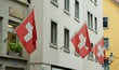 Schweizer Flagge / Swiss Flag