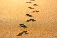 Footprints On The Sand