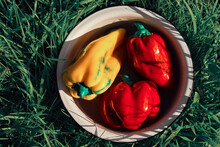 Three Sweet Peppers Are In A Plate On The Grass. Ripe Vegetables. Harvesting .