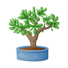 vector isolated cartoon illustration of home potted succulent jade bonsai plant.