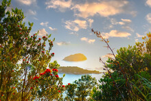 View From Walking Track Up Mount Maunganui Framed By Pohutukawa Trees 1 Red Flowers To Off-shore Islands And Horizon Into Sun With Lens Flare.