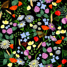 Seamless Floral Background. Floral Pattern On Black Background From Wildflowers