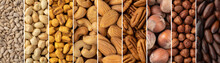 Collage Of Assorted Nuts. Assorted Nuts In Panoramic Format