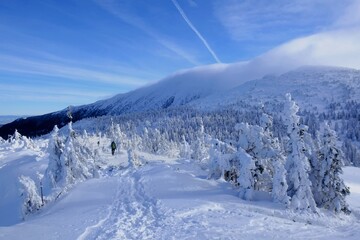 Poster - Mountain view around Brona Pass to Babia Gora Peak in winter sunny day. Diablak, Babiogorski National Park, Beskid Zywiecki, Poland