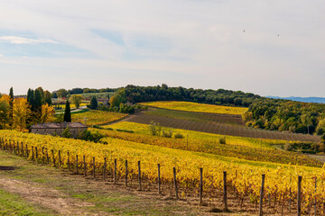 Canvas Print - autumn in the Sienese Chianti