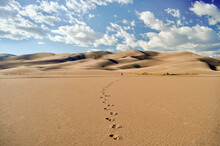 The Small Figure Of A Man Walks In The Distance Across A Desert Towards Towering Sand Dunes Leaving A Trail Of Distinct Footprints Behind - Great Sand Dunes National Park, Colorado - USA