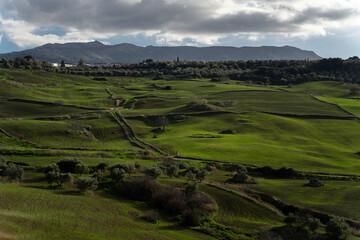 Paisaje con cielo nuboso caminos entre prados verdes