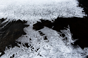 Wall Mural - Ice flower and frost pattern on the stream cold winter.