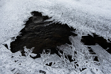 Wall Mural - Ice flower and frost pattern on the stream cold winter.